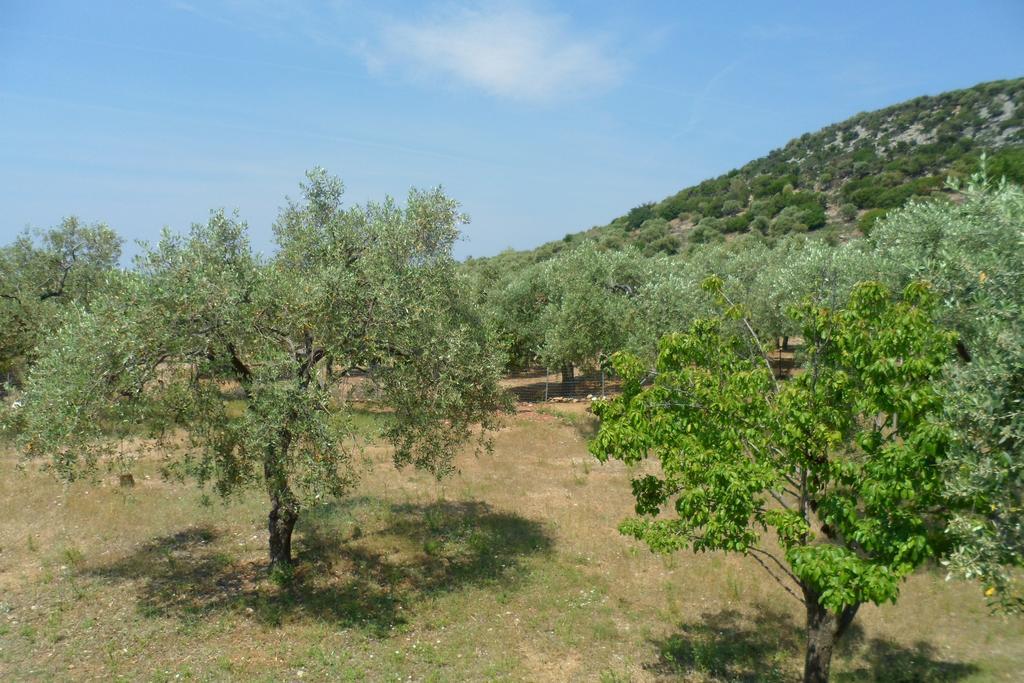 Lonely House Βίλα Αστρίδα Εξωτερικό φωτογραφία